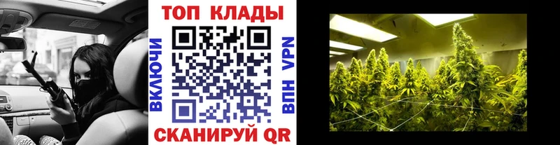 Наркота Поворино СК Марихуана COCAIN