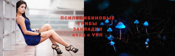 молекула духа Белая Холуница