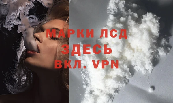 индика Армянск