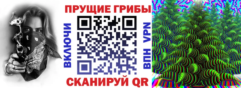 Псилоцибиновые грибы Psilocybine cubensis  где купить наркоту  Поворино 